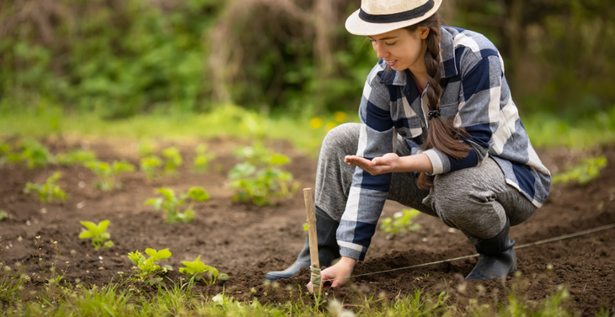 Garden Fresh: Tools and Apparel for the Green Thumb