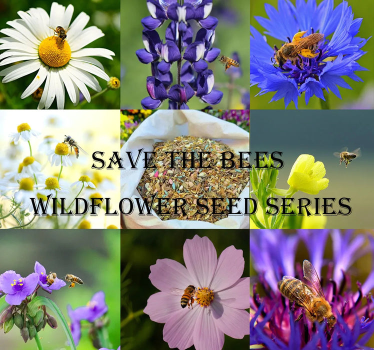 Bee Wildflower Flower Seeds