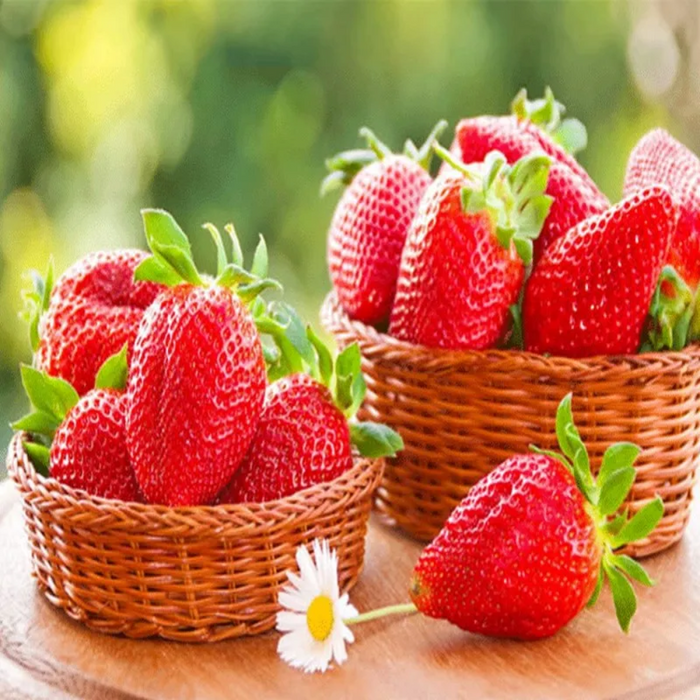 All Season Strawberry Seeds