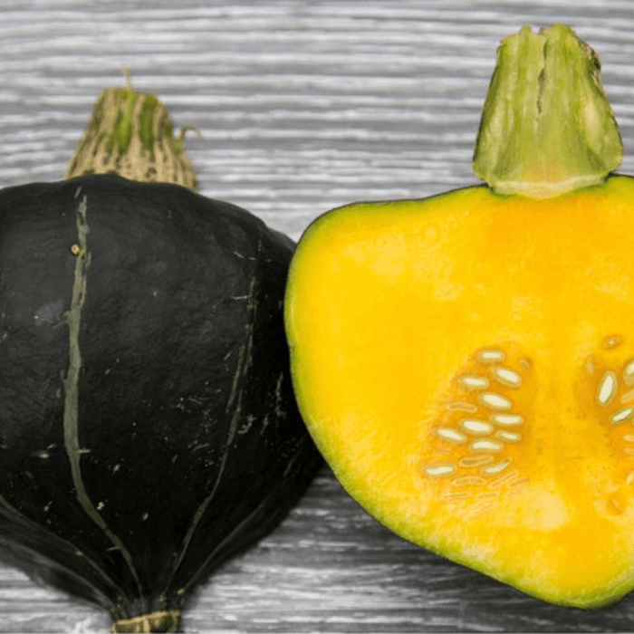 Burgess Buttercup Squash Seeds - Heirloom Sweet Stringless Non GMO