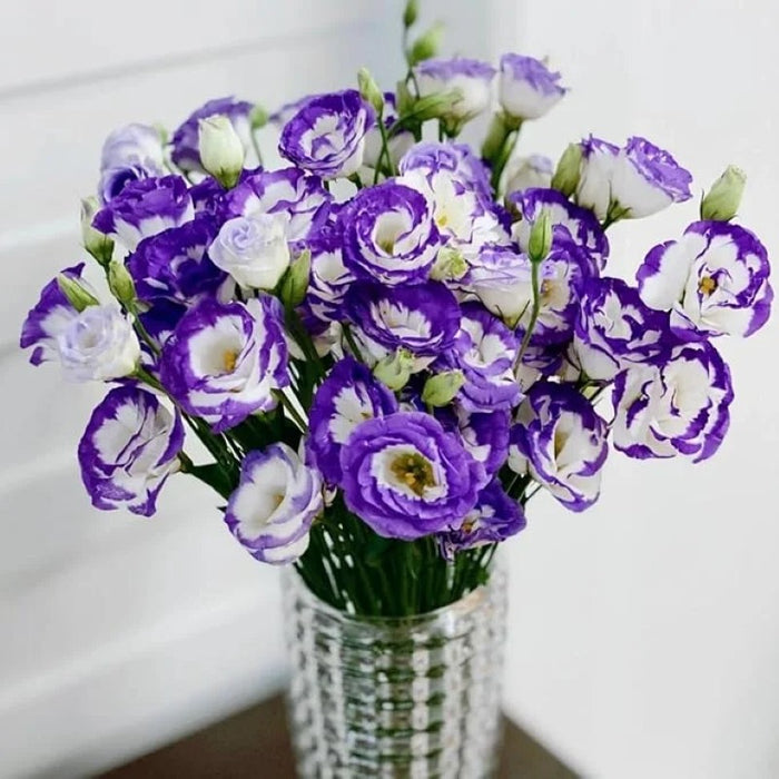 Lisianthus Flowers Seeds