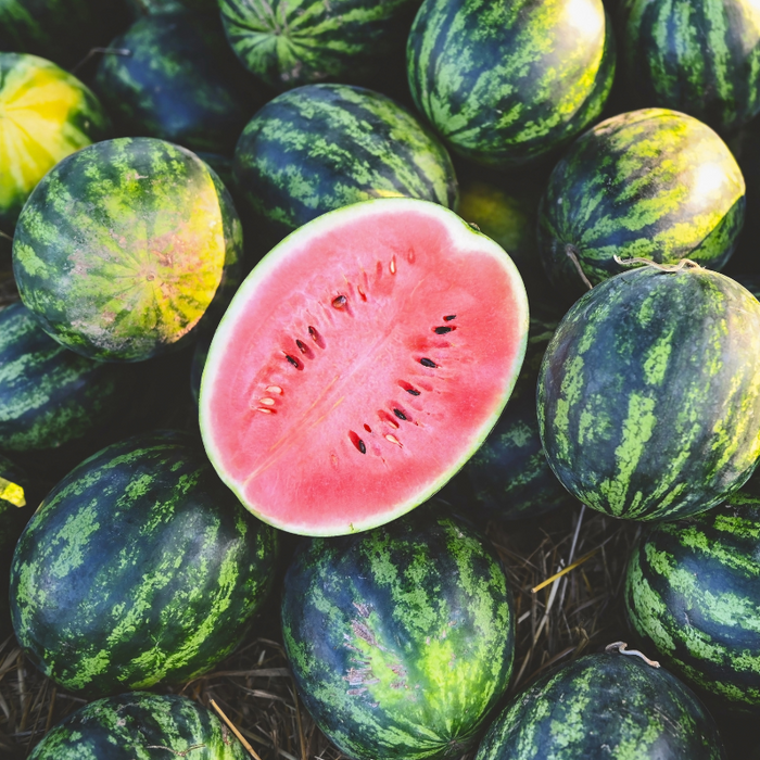 Black Tyrant King Super Sweet Watermelon Seeds