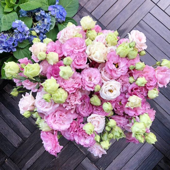 Lisianthus Garden Flower Seeds