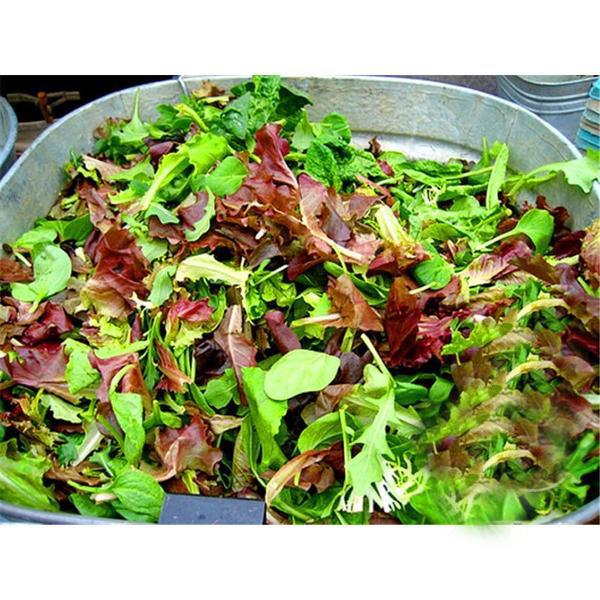 Mesclun Mix Seeds