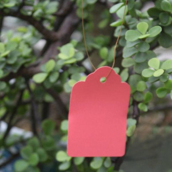 Waterproof Plastic Strip Line Garden Labels