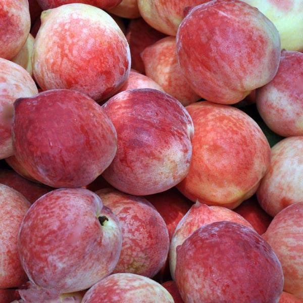 Mountain Sweet Peach Seeds