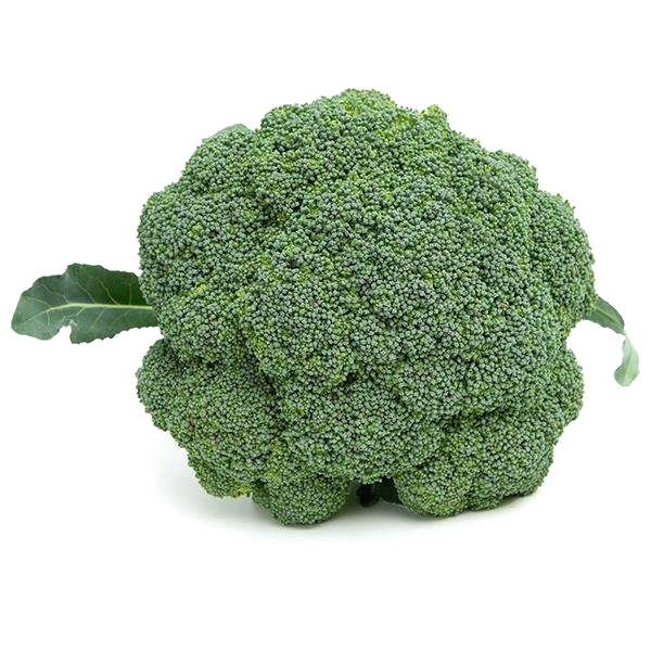 Waltham Broccoli Vegetable Seeds