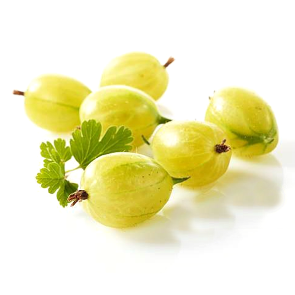 Yellow Pan-American Gooseberry Seeds