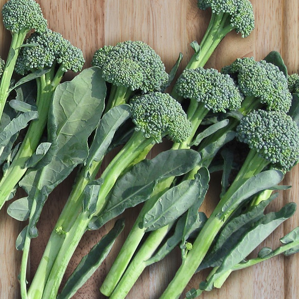 Sweet Baby Broccoli Vegetables Seeds