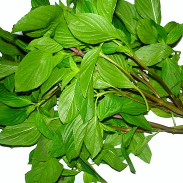 Thai Basil Siam Queen Ornamental Plant Seeds