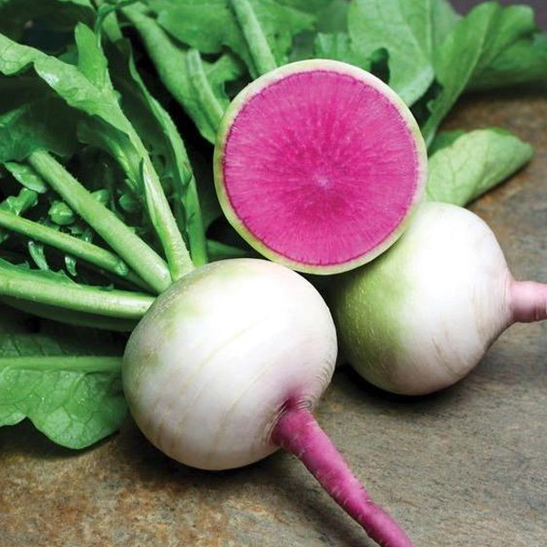 Watermelon Red Radish Vegetable Seeds