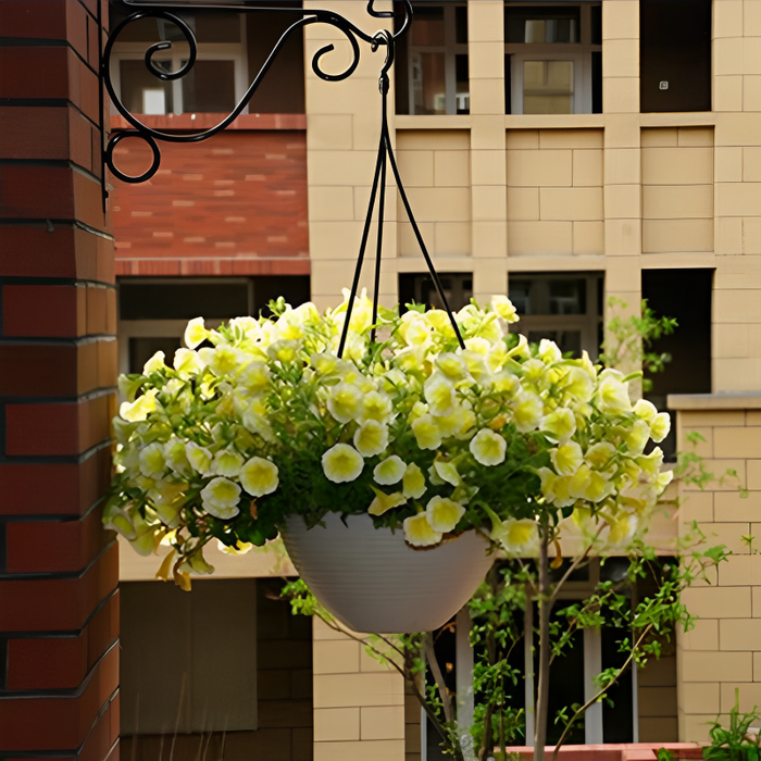 Yellow Petunia Flower Seeds