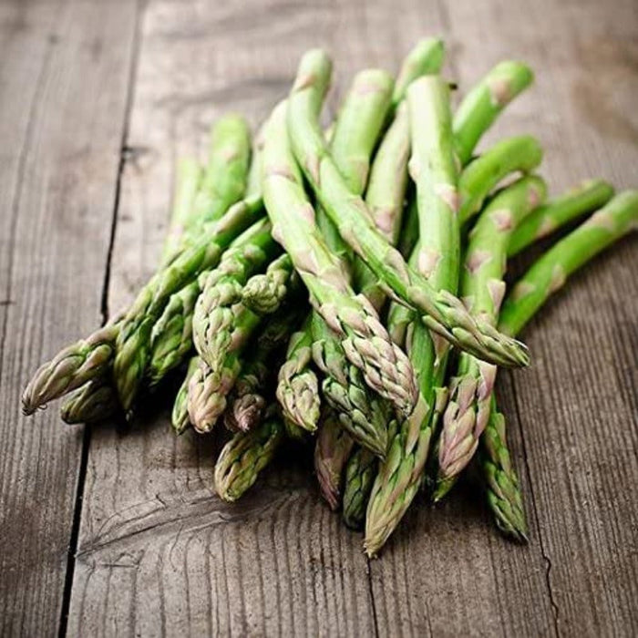 America Asparagus Seeds