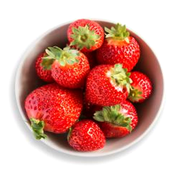 Four Seasons Fragaria Strawberry Seeds