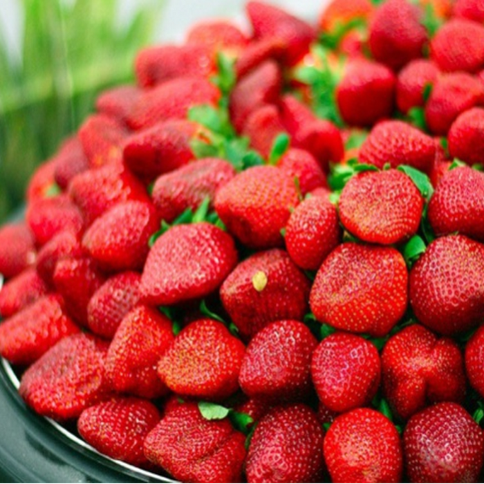 Dark Red Strawberry seeds