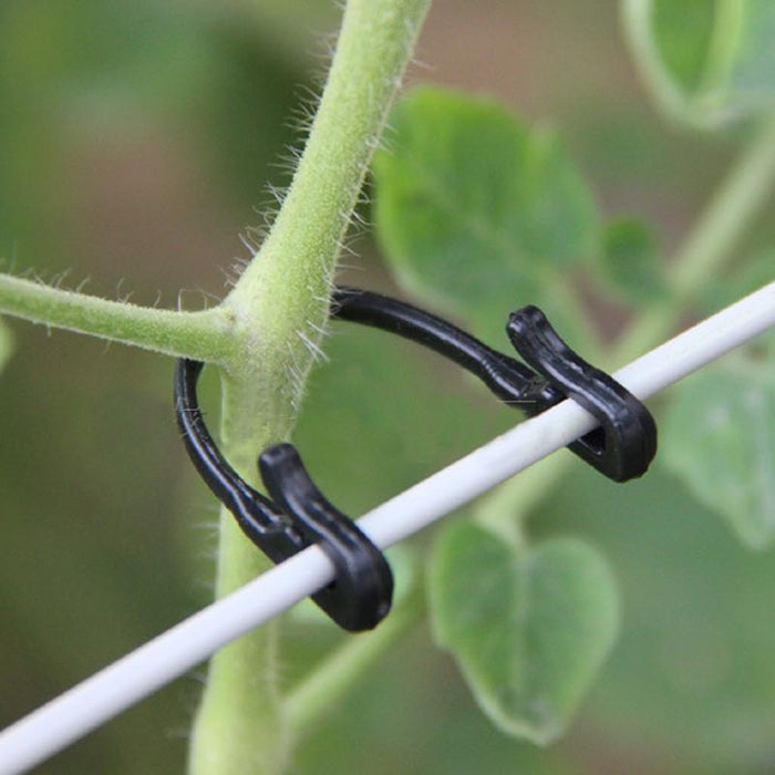 Branches Tied Clamp Fixed Hook Buckles