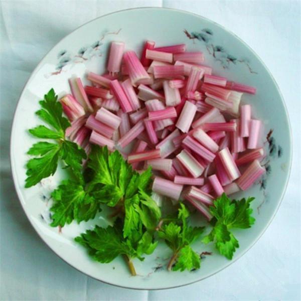 Red Celery seeds organic plants 100 seeds/pack