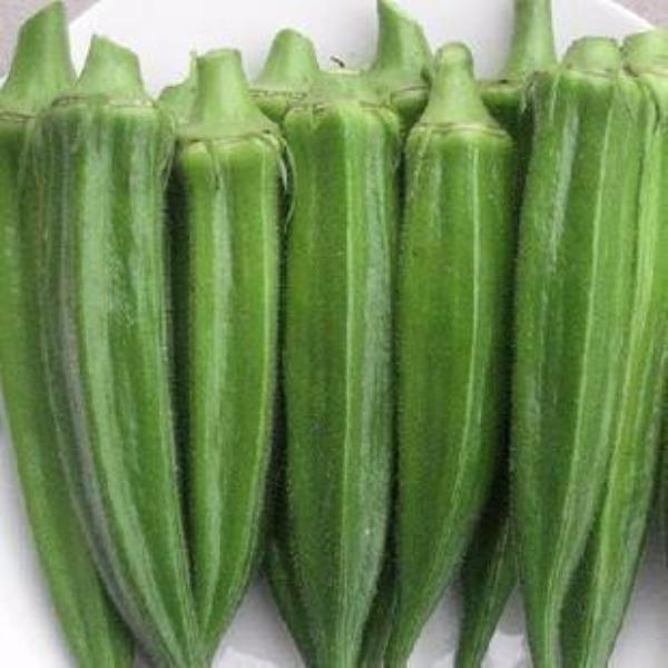 Okra seeds 20seeds vegetable seeds