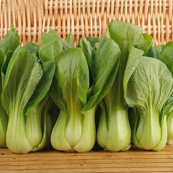 Pak Choi Bok Choy Chinese Cabbage Seeds