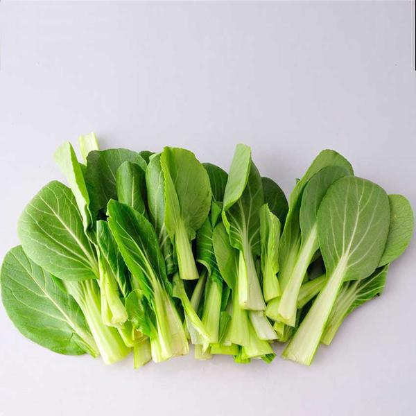 Pak Choi Bok Choy Chinese Cabbage Seeds