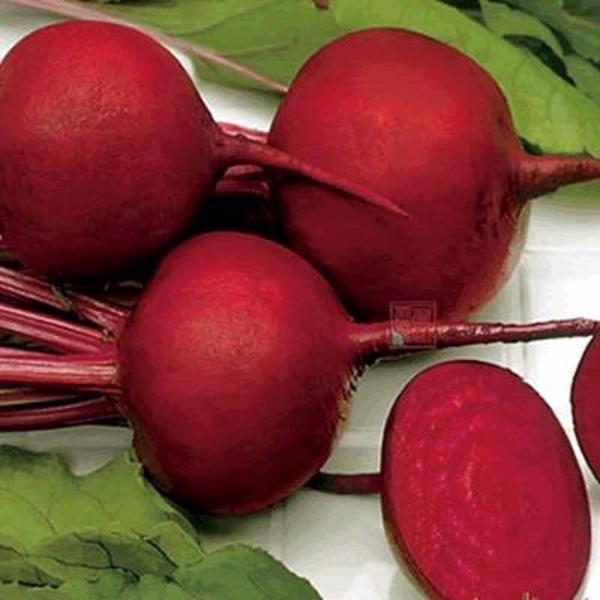 Red Beet Seeds