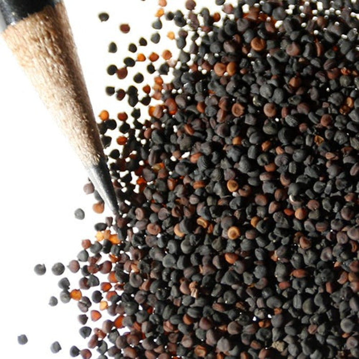 Gypsophila Flower Seeds