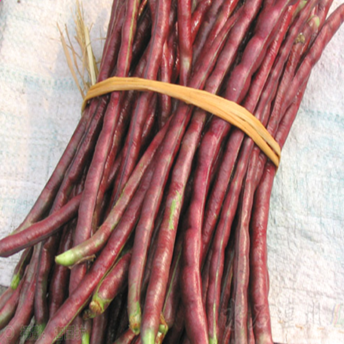 Asparagus Bean Seeds