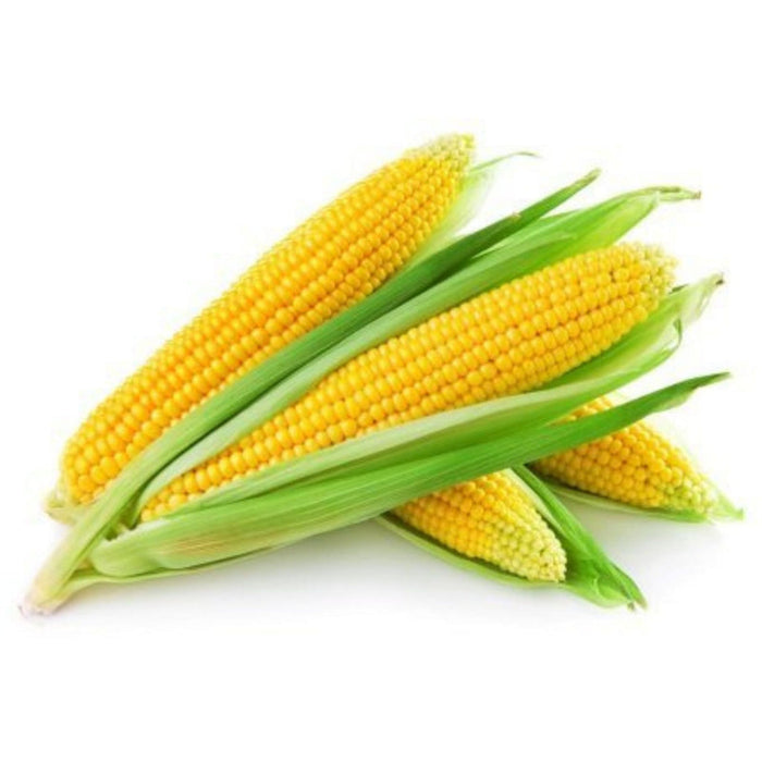 Creamed Baby Corn Seeds