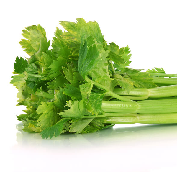 celery seeds 100 seeds Vegetable seeds