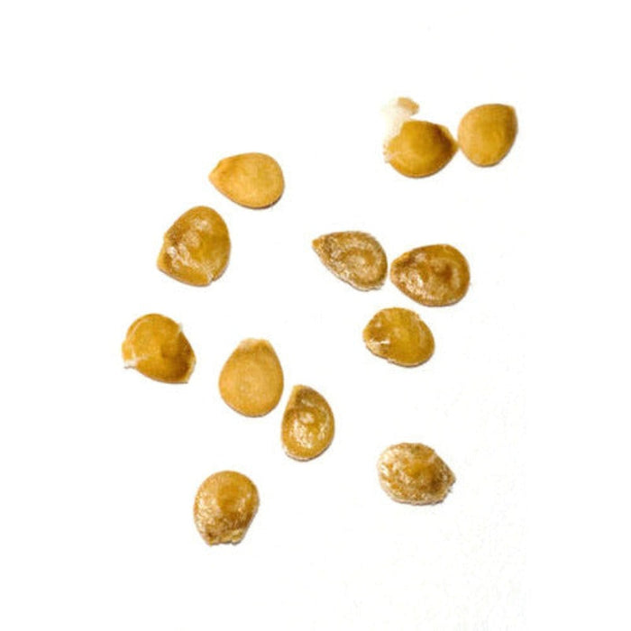 Yellow Cherry Tomatoes Seeds