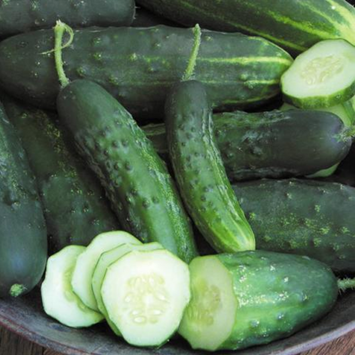 Crispy Cucumber Seeds