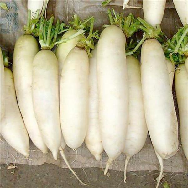 White Radish Seeds