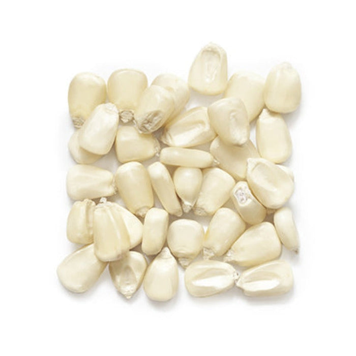 White Waxy Corn Seeds